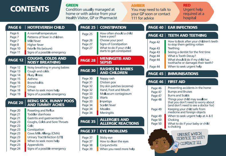 pictoral list of problems and page numbers marked with green amber and red for priorities